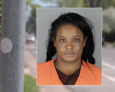 Mugshot of Minnesota woman Sophia Sullivan
